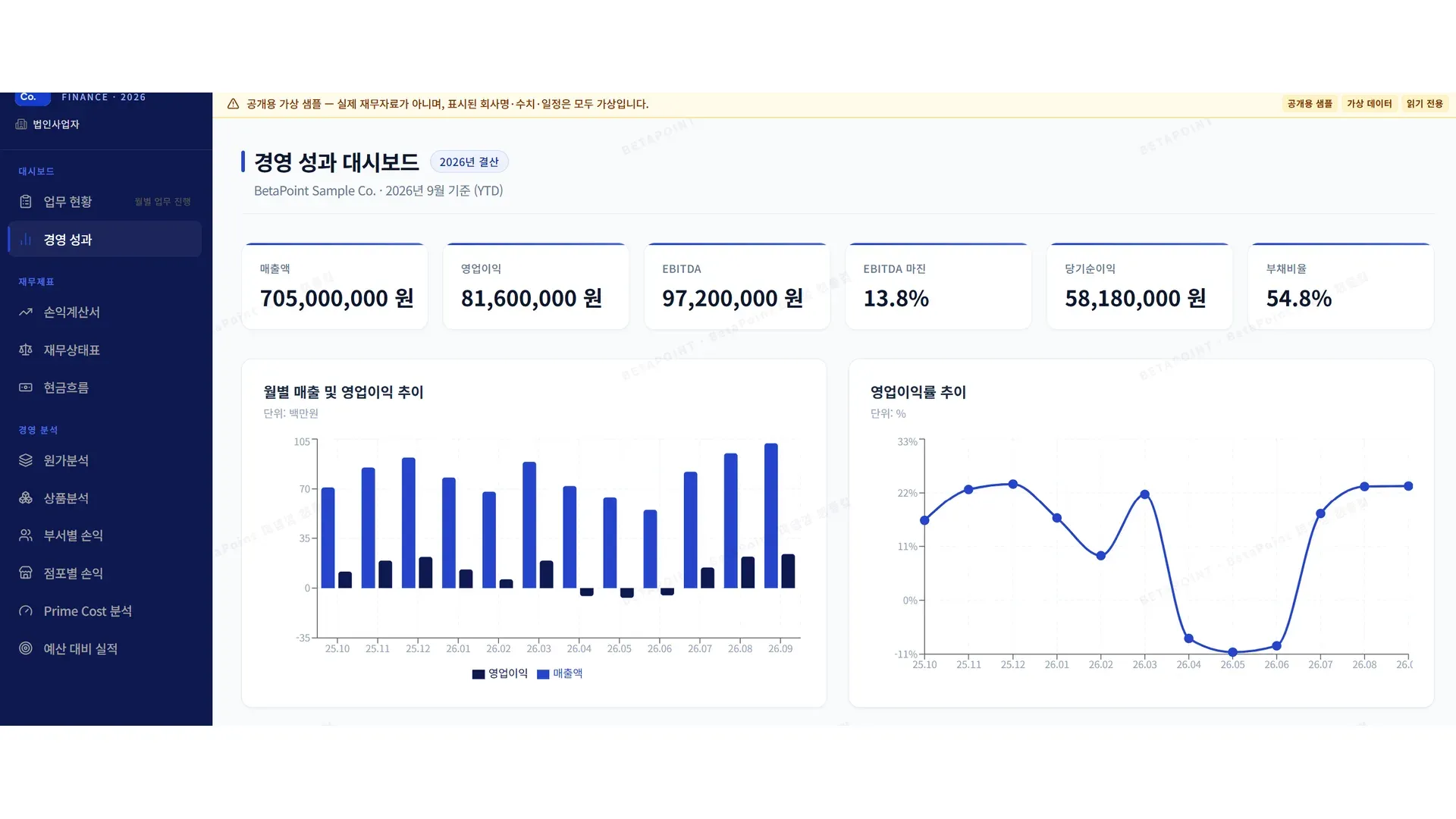 BetaFIN 경영 성과 요약 보고서 화면 — 합성 데이터
